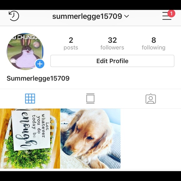 summerlegge745